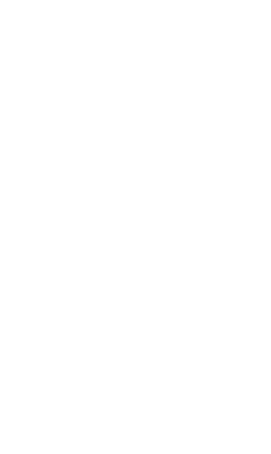 Spring Fling Henna Conference