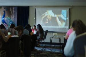 spring fling henna conference